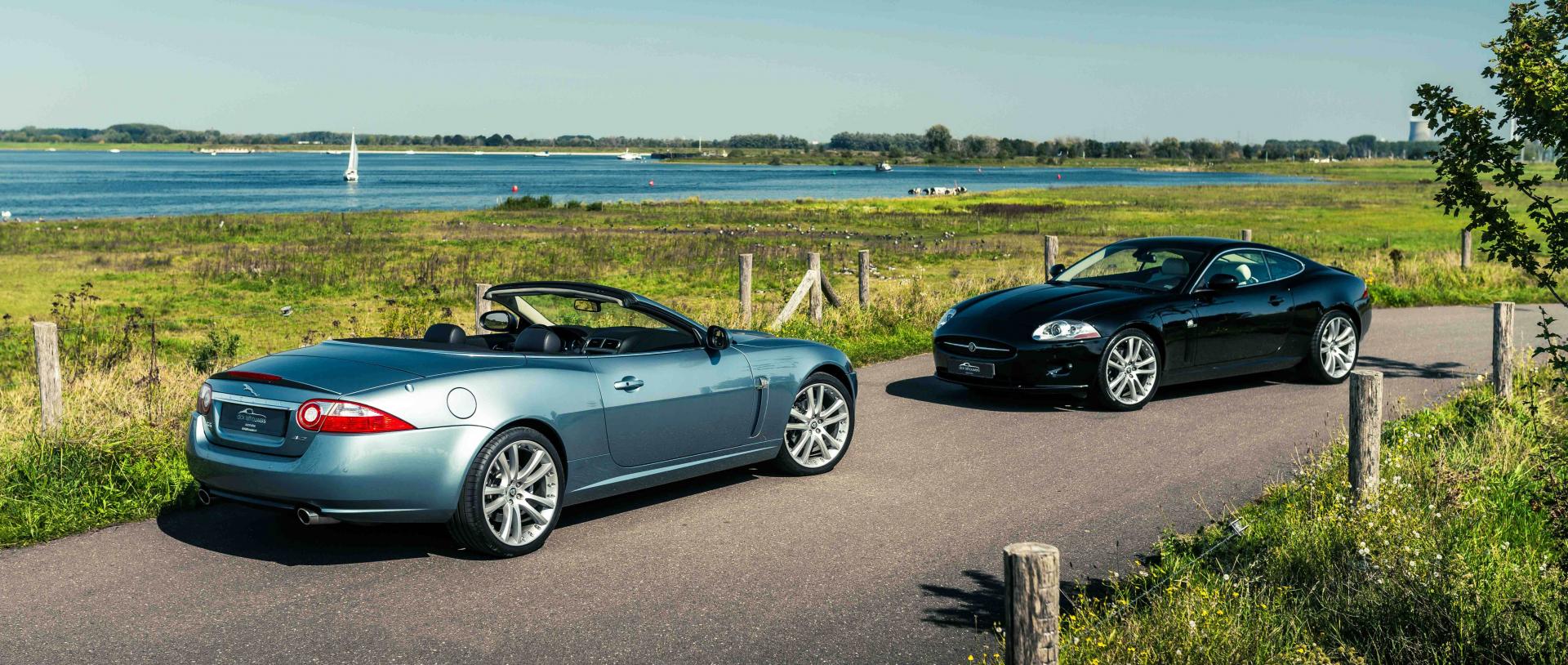 Header Image 1
