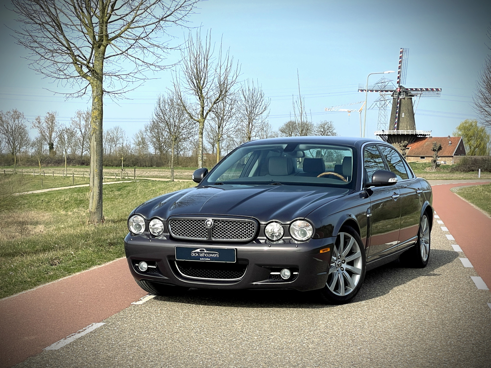 40903932-1.jpg