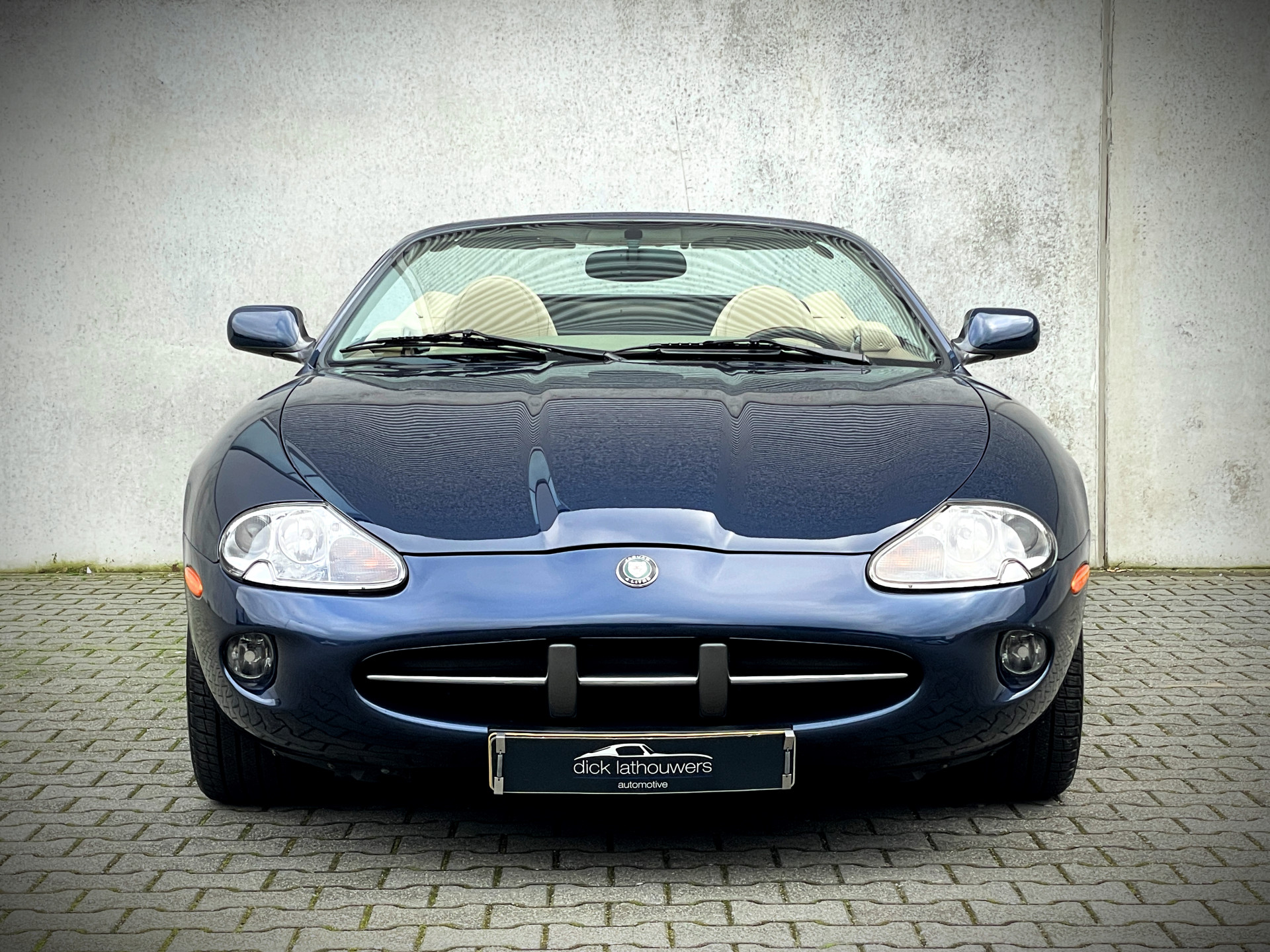 41651956-2.jpg
