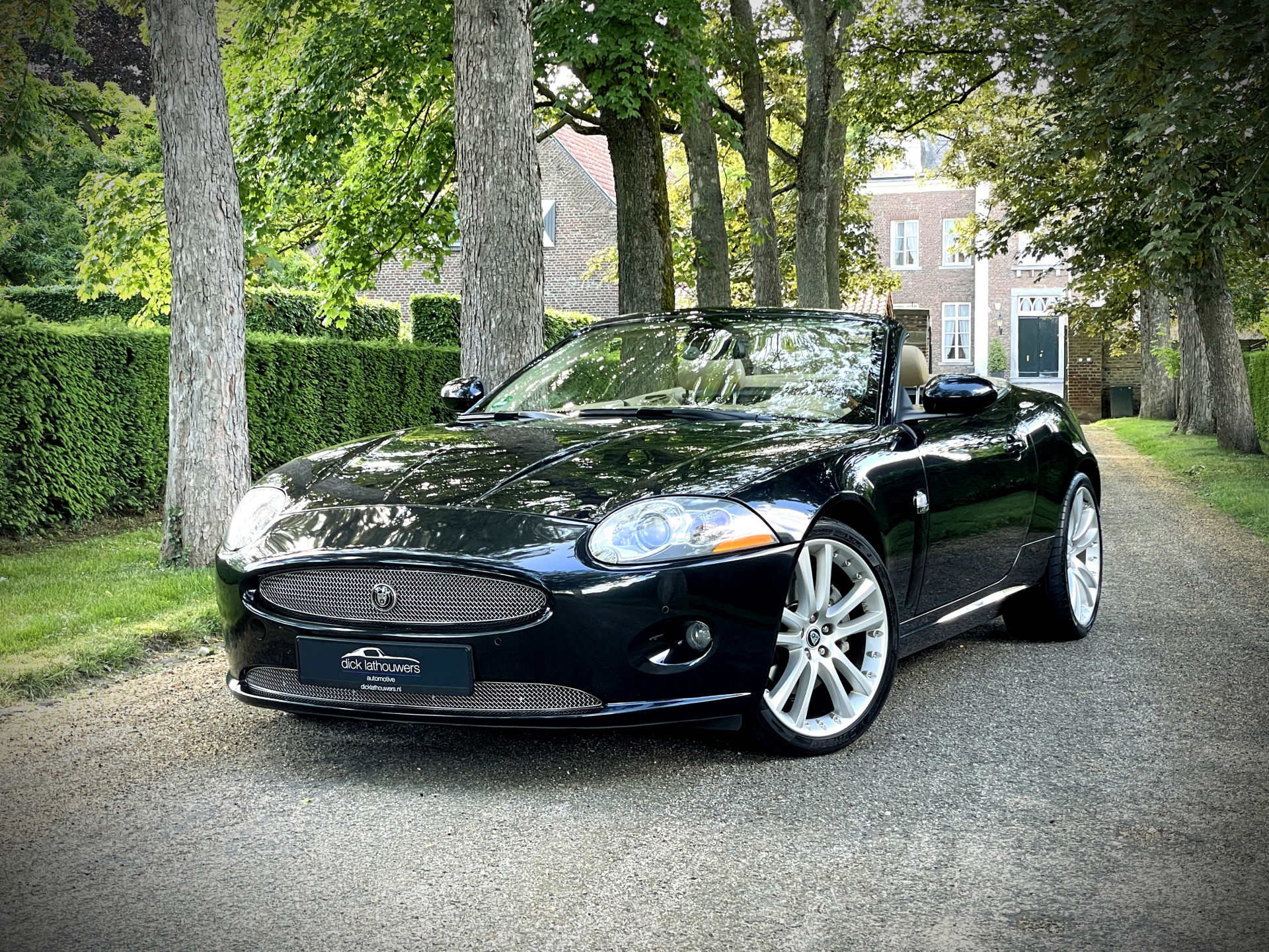 45136449-29.jpg