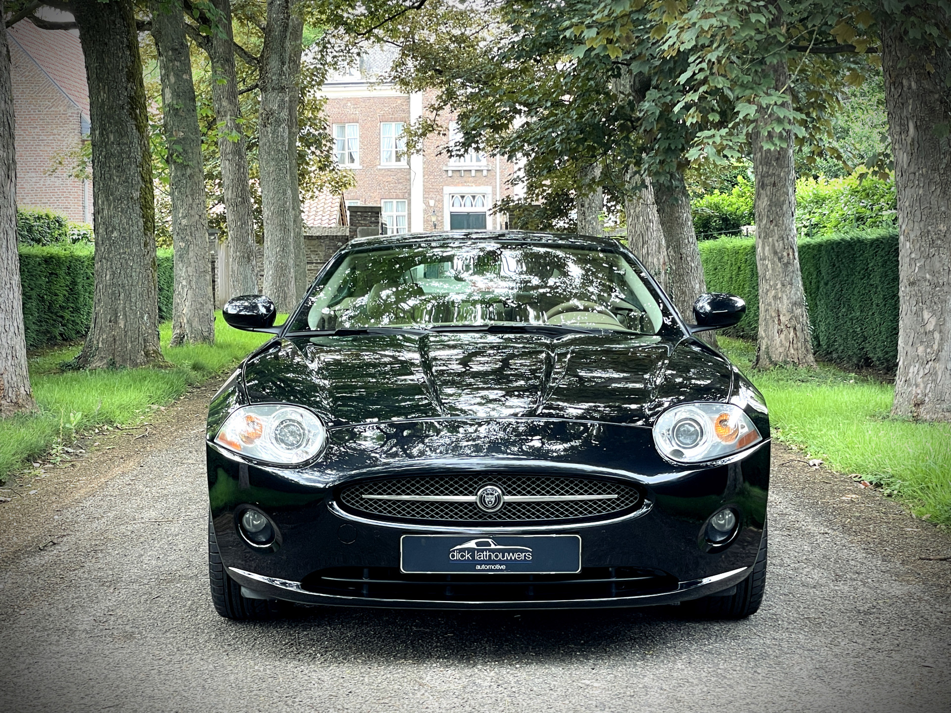45630289-2.jpg