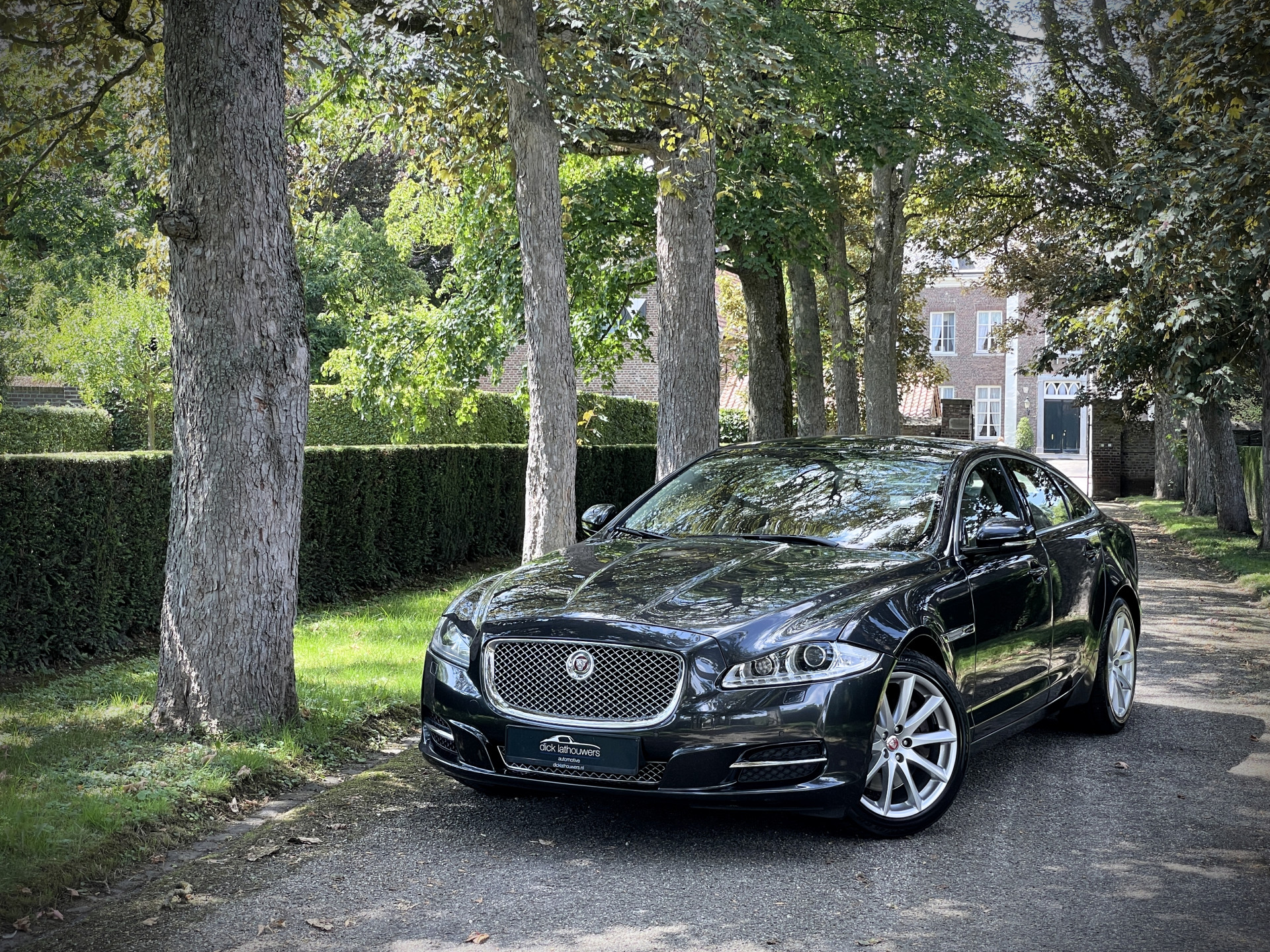 36010645-31.jpg