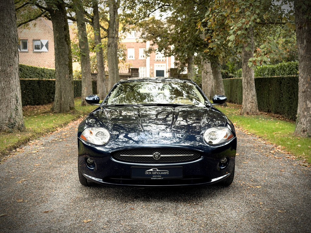 56832989-2.jpg